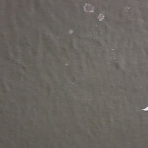 Meet your Posher, Juan